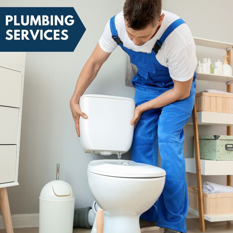 Plumbing Company in Norris, IL